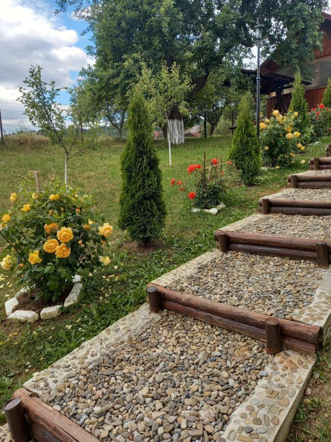 Willa Casa Paty Mînăstirea Humorului Zewnętrze zdjęcie